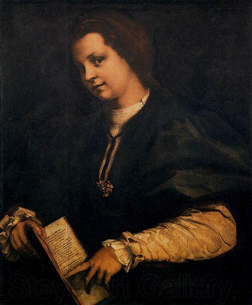 Andrea del Sarto Portrait of a Lady with a Book Germany oil painting art